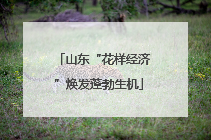 山东“花样经济”焕发蓬勃生机