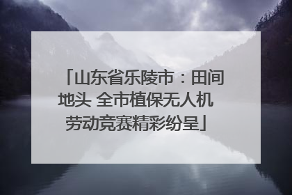 山东省乐陵市：田间地头 全市植保无人机劳动竞赛精彩纷呈