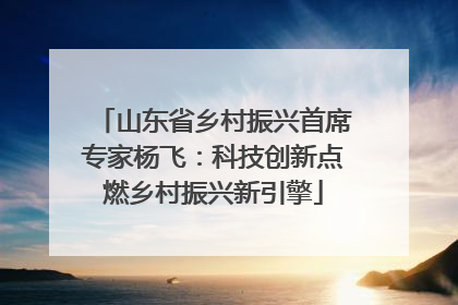 山东省乡村振兴首席专家杨飞：科技创新点燃乡村振兴新引擎