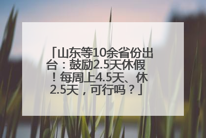 山东等10余省份出台：鼓励2.5天休假！每周上4.5天、休2.5天，可行吗？