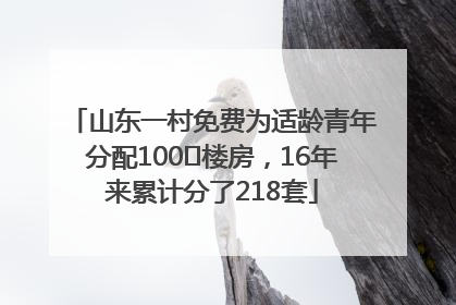 山东一村免费为适龄青年分配100㎡楼房，16年来累计分了218套