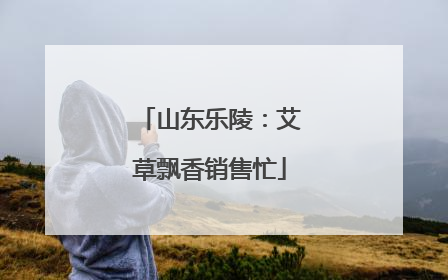 山东乐陵：艾草飘香销售忙