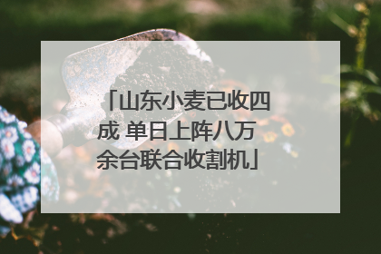 山东小麦已收四成 单日上阵八万余台联合收割机