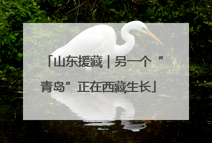 山东援藏｜另一个“青岛”正在西藏生长
