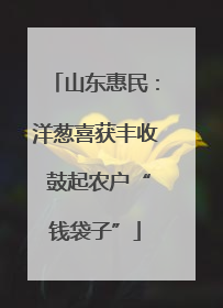 山东惠民：洋葱喜获丰收 鼓起农户“钱袋子”