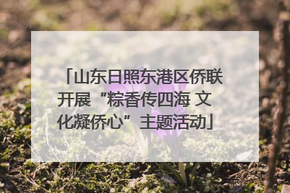 山东日照东港区侨联开展“粽香传四海 文化凝侨心”主题活动