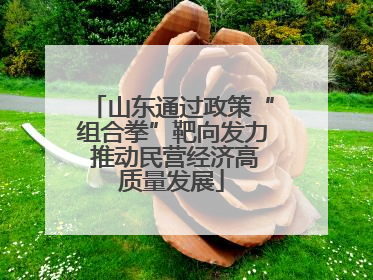 山东通过政策“组合拳”靶向发力 推动民营经济高质量发展