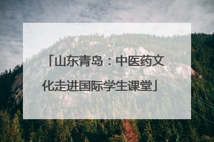 山东青岛：中医药文化走进国际学生课堂