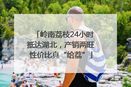 岭南荔枝24小时抵达湖北，产销两旺性价比真“给荔”