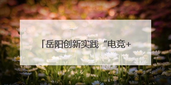 岳阳创新实践“电竞+文旅” 和平精英职业联赛嘉年华线下引流