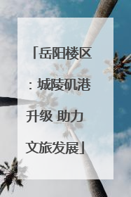 岳阳楼区：城陵矶港升级 助力文旅发展