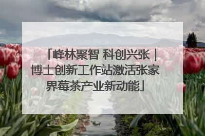 峰林聚智 科创兴张｜博士创新工作站激活张家界莓茶产业新动能