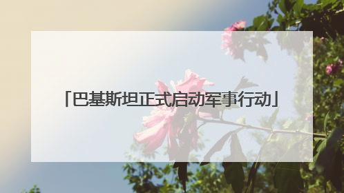巴基斯坦正式启动军事行动