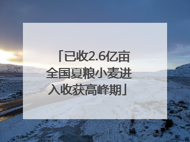 已收2.6亿亩 全国夏粮小麦进入收获高峰期