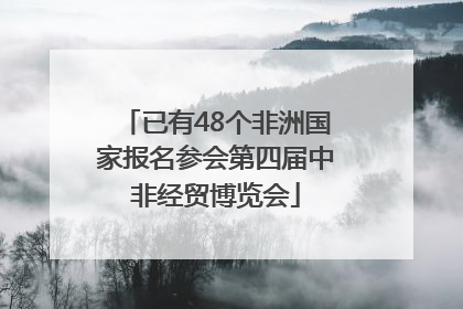 已有48个非洲国家报名参会第四届中非经贸博览会