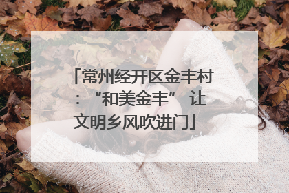 常州经开区金丰村：“和美金丰” 让文明乡风吹进门
