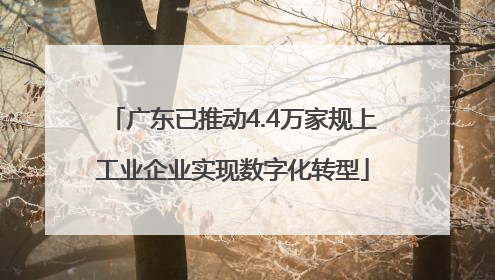 广东已推动4.4万家规上工业企业实现数字化转型