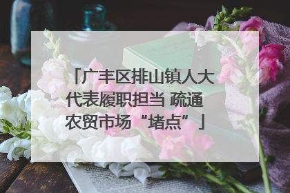 广丰区排山镇人大代表履职担当 疏通农贸市场“堵点”