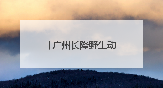 广州长隆野生动物世界已成功孕育了14只“长鼻猴二代三代”