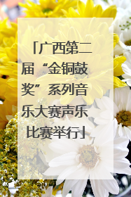广西第二届“金铜鼓奖”系列音乐大赛声乐比赛举行