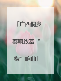 广西侗乡奏响致富“椒”响曲