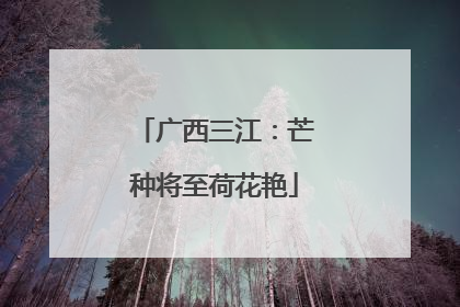 广西三江：芒种将至荷花艳