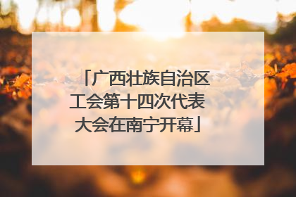 广西壮族自治区工会第十四次代表大会在南宁开幕