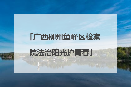 广西柳州鱼峰区检察院法治阳光护青春
