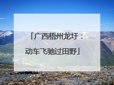 广西梧州龙圩：动车飞驰过田野