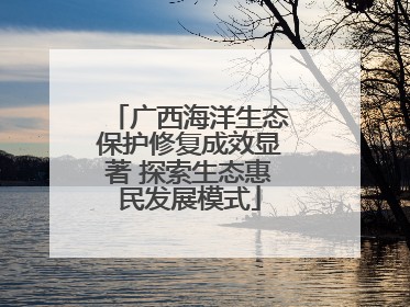广西海洋生态保护修复成效显著 探索生态惠民发展模式