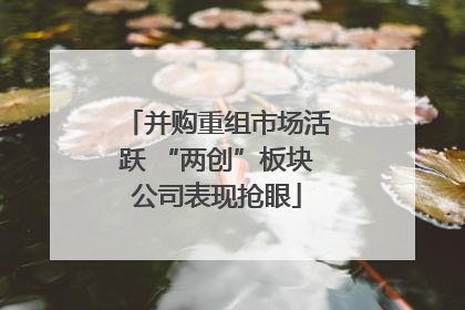 并购重组市场活跃 “两创”板块公司表现抢眼