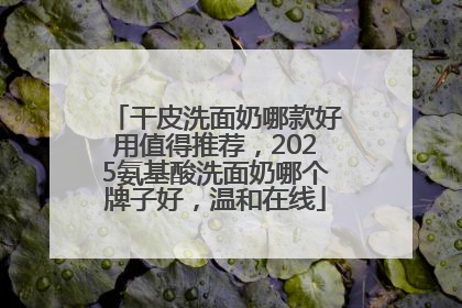干皮洗面奶哪款好用值得推荐，2025氨基酸洗面奶哪个牌子好，温和在线