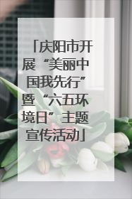 庆阳市开展“美丽中国我先行”暨“六五环境日”主题宣传活动