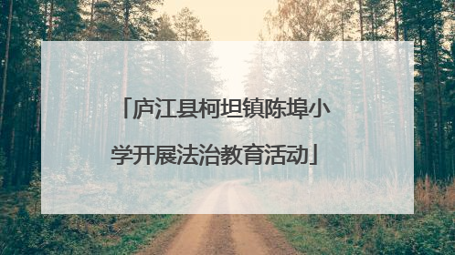 庐江县柯坦镇陈埠小学开展法治教育活动