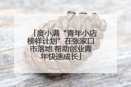 度小满“青年小店榜样计划”在张家口市落地 帮助创业青年快速成长
