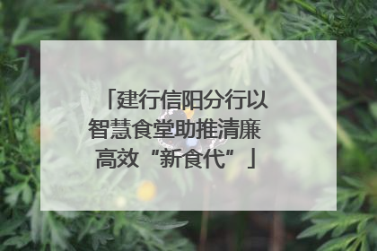 建行信阳分行以智慧食堂助推清廉高效“新食代”