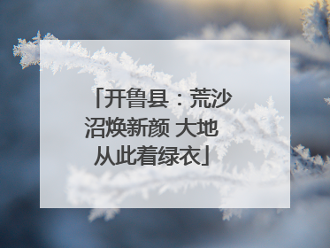 开鲁县：荒沙沼焕新颜 大地从此着绿衣
