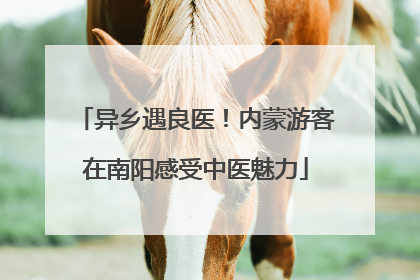 异乡遇良医！内蒙游客在南阳感受中医魅力