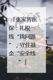 张家界医保：扎根一线“找问题”，守住基金“安全线”