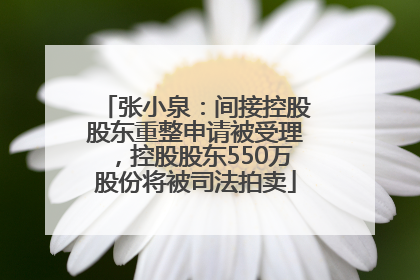 张小泉：间接控股股东重整申请被受理，控股股东550万股份将被司法拍卖