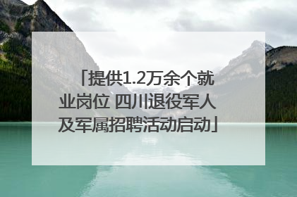 提供1.2万余个就业岗位 四川退役军人及军属招聘活动启动