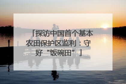 探访中国首个基本农田保护区监利：守好“饭碗田”