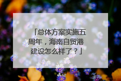 总体方案实施五周年，海南自贸港建设怎么样了？