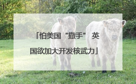怕美国“撒手” 英国欲加大开发核武力