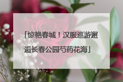惊艳春城！汉服巡游邂逅长春公园芍药花海