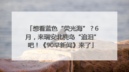 想看蓝色“荧光海”？6月，来瑞安北麂岛“追泪”吧！《90早新闻》来了