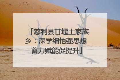 慈利县甘堰土家族乡：深学细悟强思想 蓄力赋能促提升
