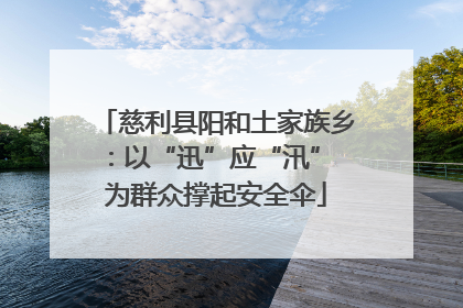 慈利县阳和土家族乡：以“迅”应“汛” 为群众撑起安全伞