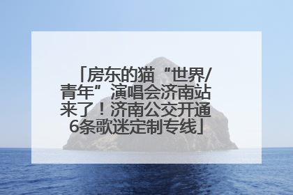 房东的猫“世界/青年”演唱会济南站来了！济南公交开通6条歌迷定制专线