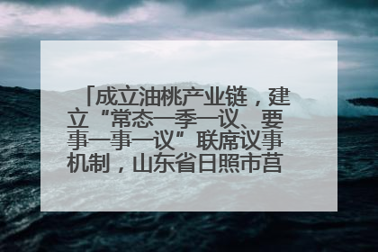 成立油桃产业链，建立“常态一季一议、要事一事一议”联席议事机制，山东省日照市莒县果庄镇——13个党小组“全周期”育果